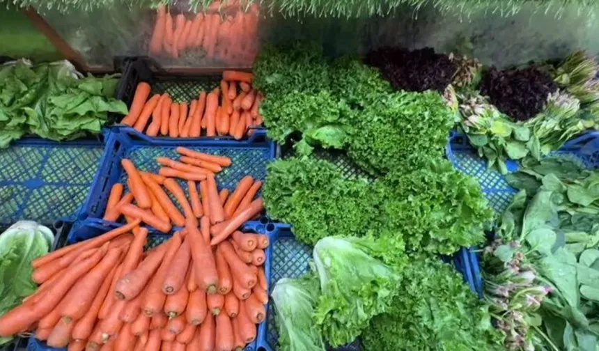 Hatay Tarlalarından Irak Sofralarına: İhracatta Rekor Artış