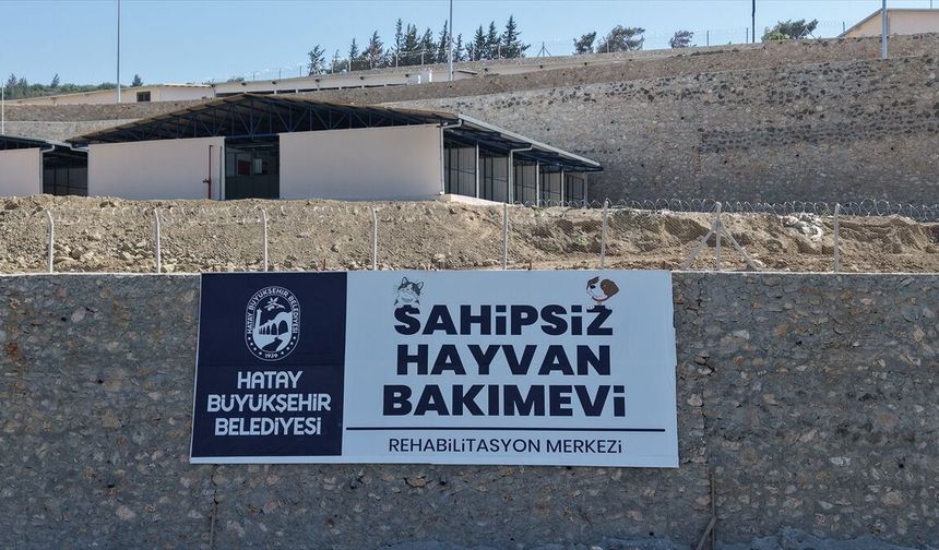 Hatay'da Sahipsiz Hayvanlar İçin Dev Merkez !