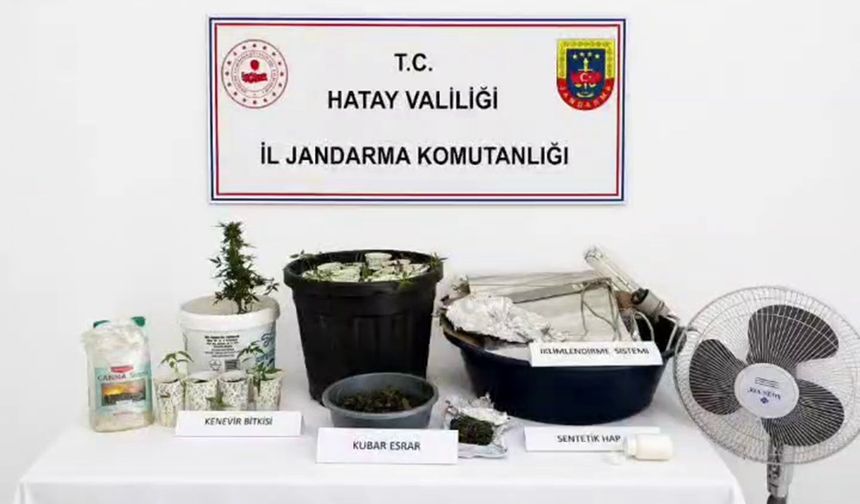 Hatay'da Şok Olay ! Kenevir Yetiştirmek İçin Eve Özel Sistem Kurmuş