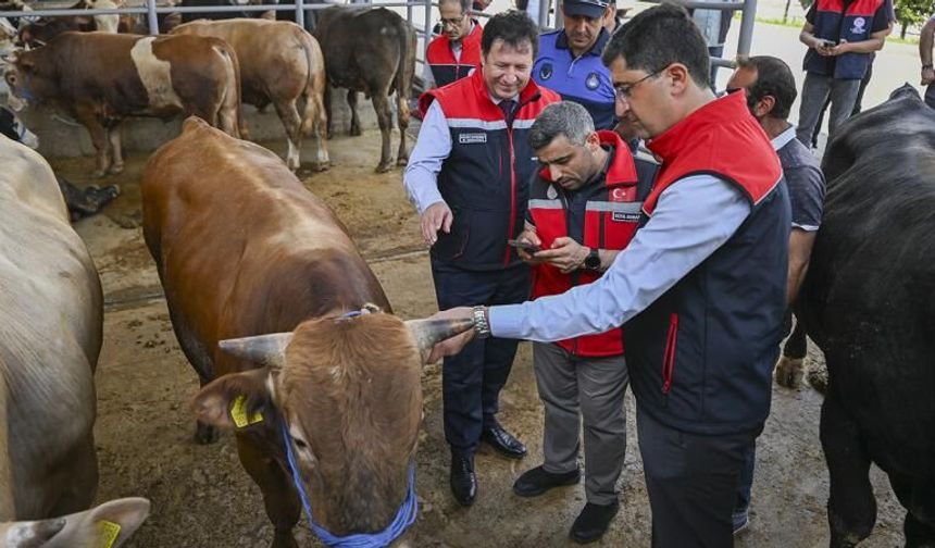 Hatay'da Kurban Bayramı Öncesi 4 Milyonu Aşkın Hayvan Denetlendi