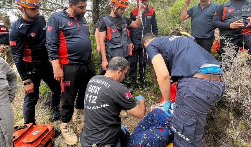 Samandağ’da Kekik Toplama Kabusa Döndü