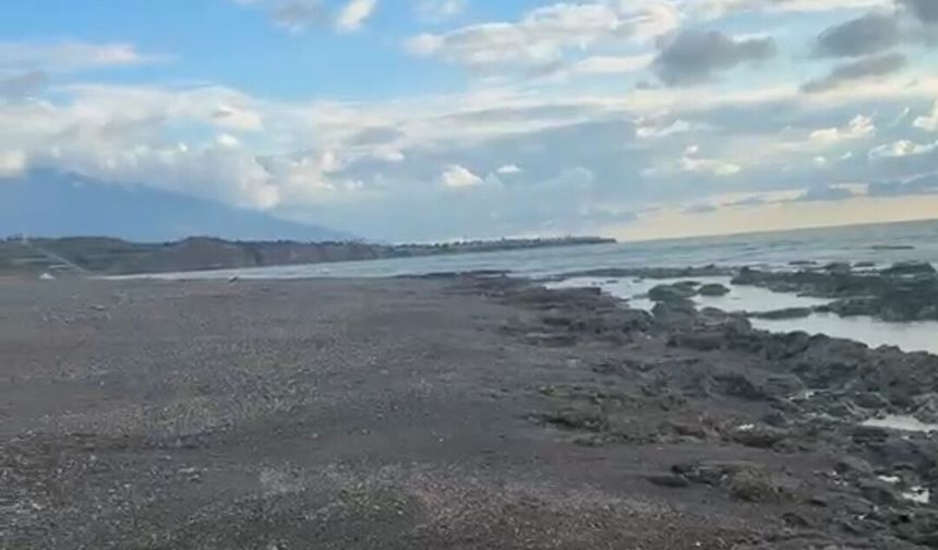 Arsuz Sahillerinde Şaşırtan Görüntü