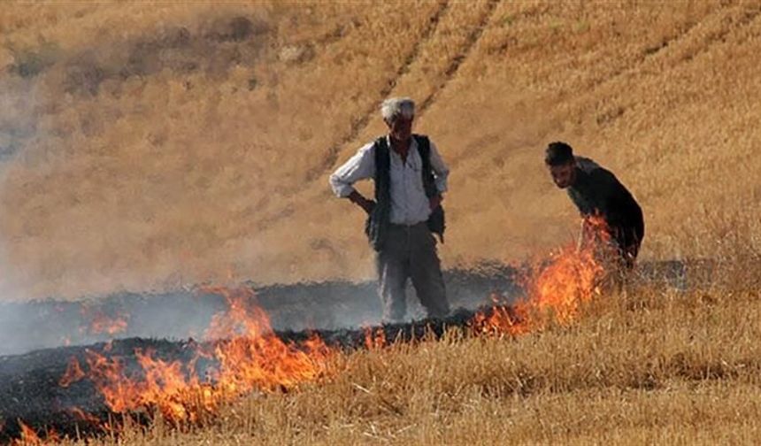 Hatay’da Çevreyi Koruyan Adım Meyvesini Verdi !