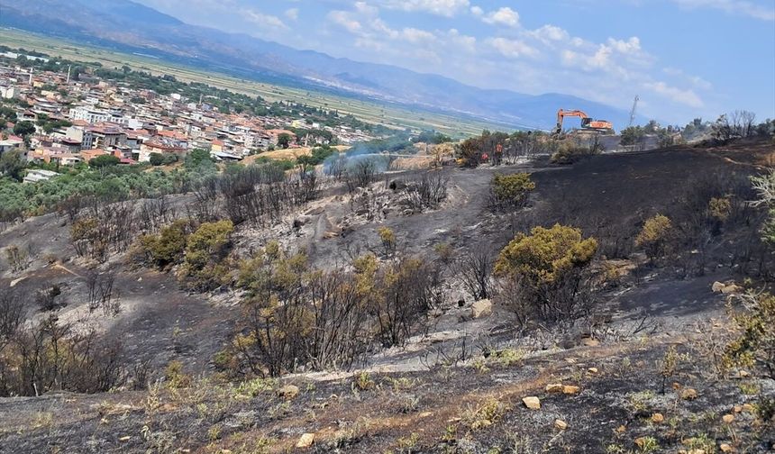 Aydın'da makilik ve zeytinlik alanda çıkan yangın kontrol altına alındı