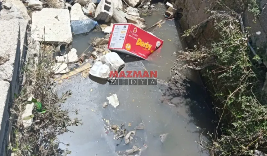 Antakya’da Dere Temizliği Tepkisi: “Arıyoruz, Gelen Olmuyor”