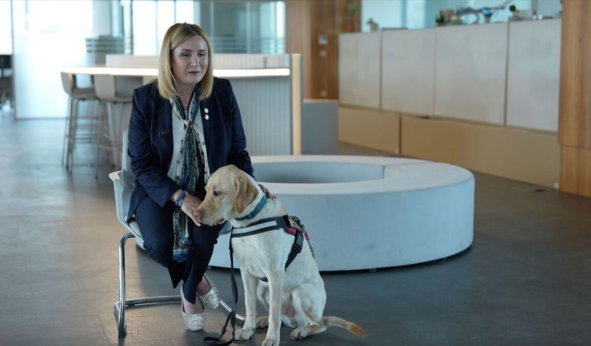 Görme engelliler, rehber köpekleriyle her yere sorunsuz erişebilmek istiyor