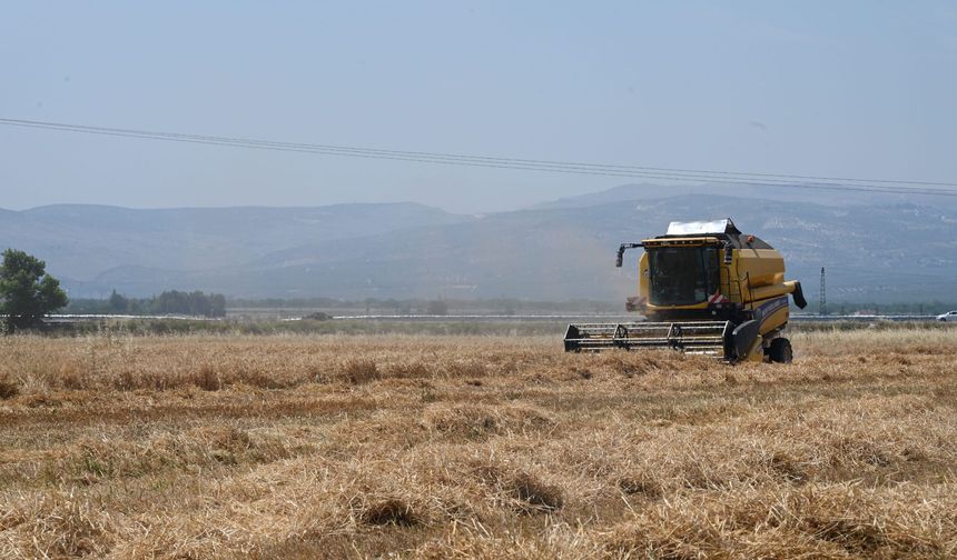 MKÜ Uygulama Arazisinde Buğday ve Arpa Hasadı Yapıldı