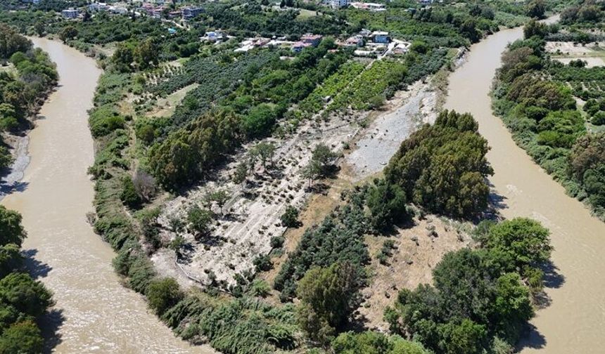 Hatay'da Felaketin İzleri Ortaya Çıktı! 500 Zeytin Ağacı Bir Gecede Yok Oldu