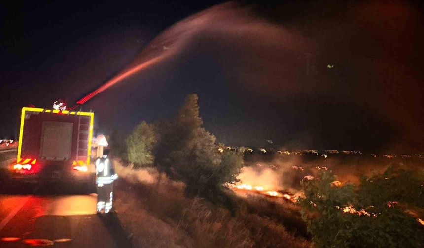 Hatay'da Korkutan Yangın:  200 Dönüm Zeytinlik Alan Kül Oldu!