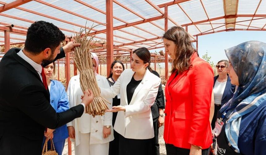 Hatay'da Su Sümbülü Kadınlara İş Kapısı Oldu