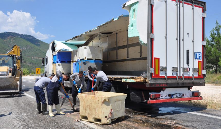 Mersin'de dorsesi kırılan tırdaki balık atıkları yola saçıldı