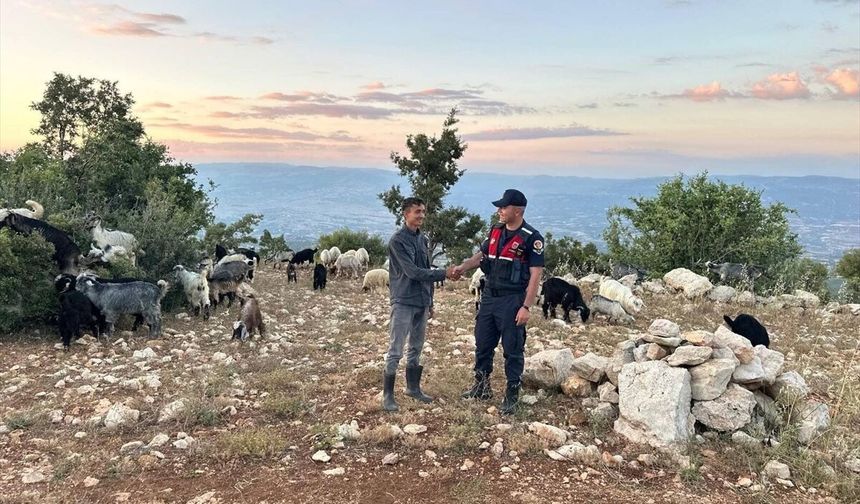Mersin'de kaybolan 40 küçükbaş hayvan dronla bulundu