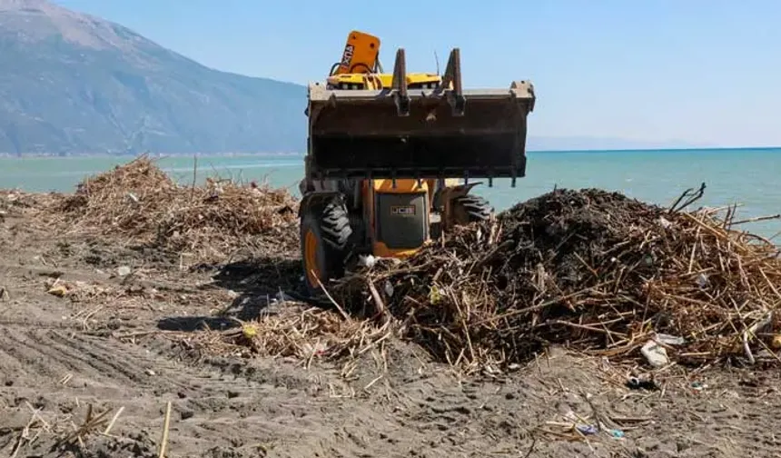 Samandağ Sahili’nde Kaplumbağaların Önündeki Tonlarca Atık Kaldırıldı!