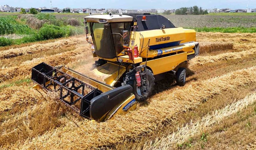Hatay’da Buğday Krizi: Üretici Beklediğini Bulamadı !