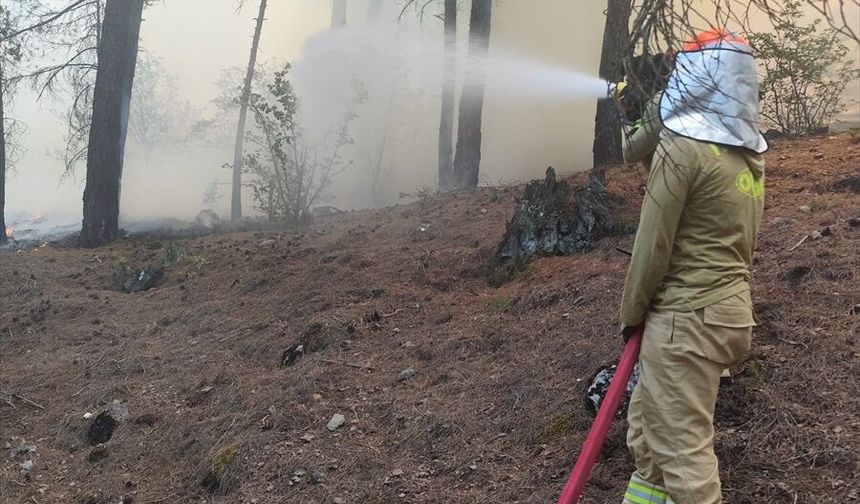 Adana'da ormanlık alanda çıkan yangın söndürüldü