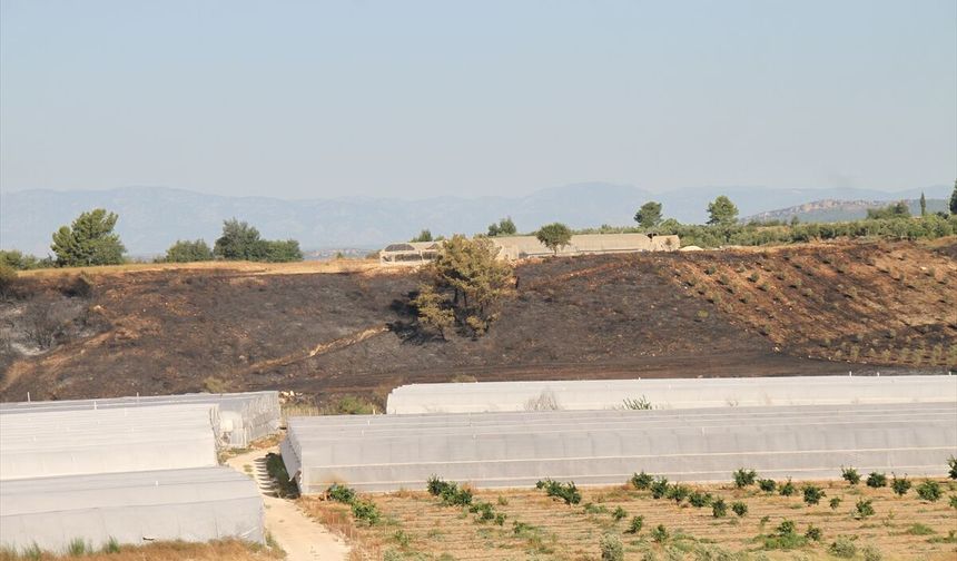 Antalya Serik'te çıkan orman yangını söndürüldü