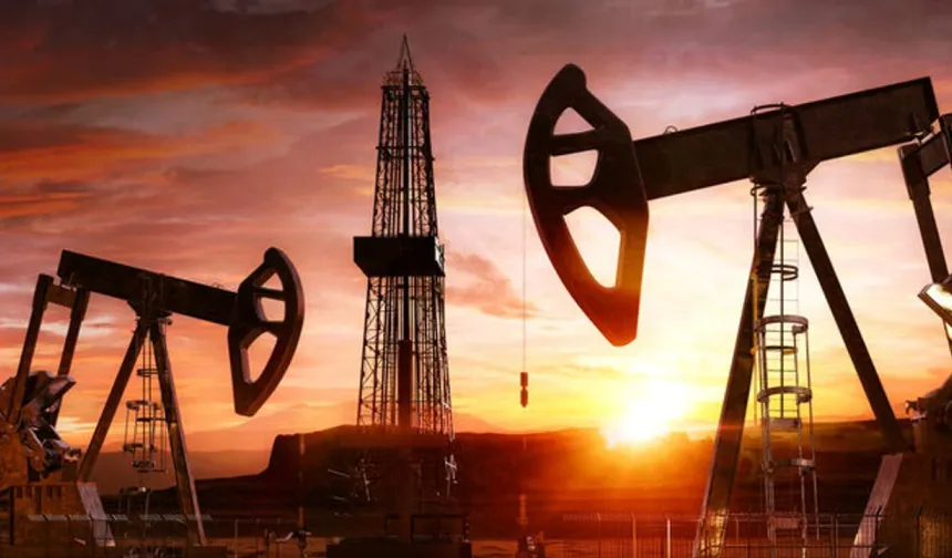 Hatay'da Dev Petrol Araması Başlıyor! Karar Resmi Gazete'de
