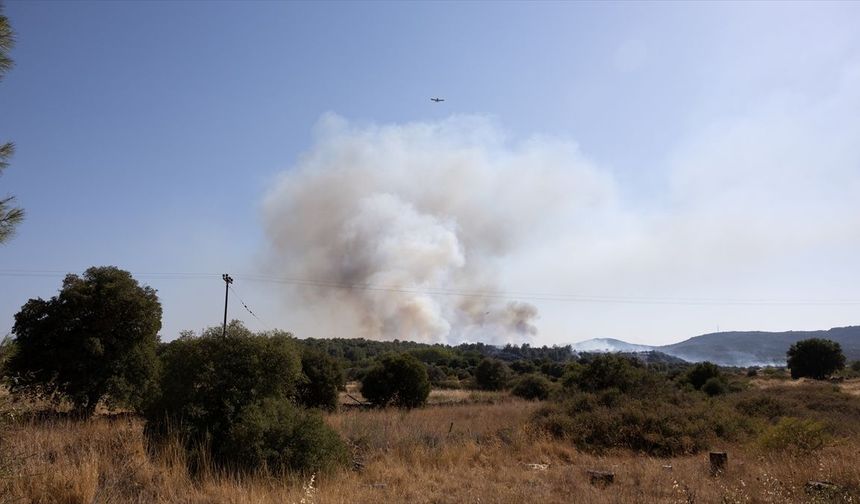Midilli Adası'nda ormanlık alanda yangın çıktı