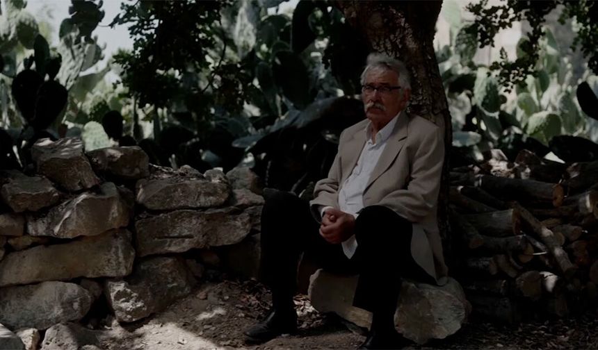 TRT ortak yapımı 'Kesilmiş Bir Ağaç Gibi' Türkiye'nin Oscar adayı oldu