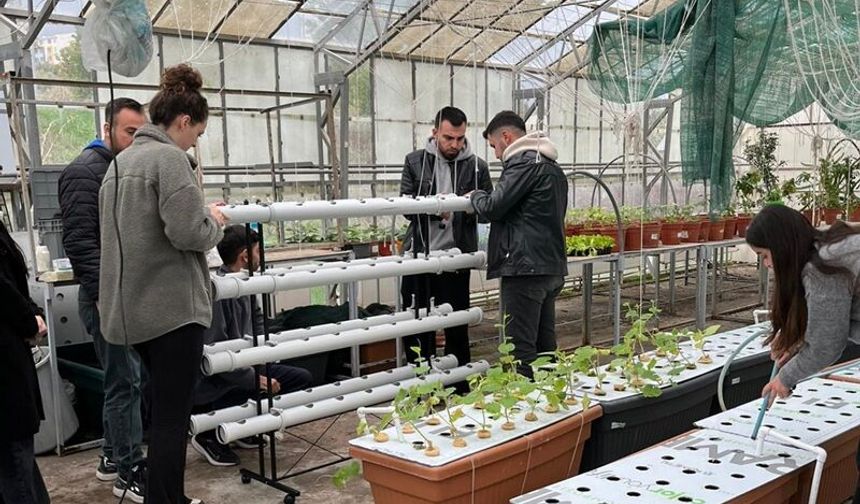HMKÜ Ziraat Fakültesinde Öğrenciler Araştırmanın İçinde Yetişiyor