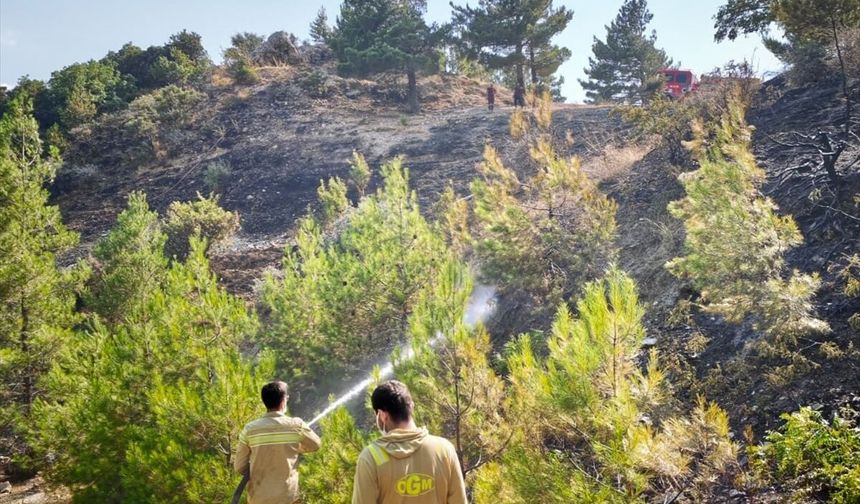 Kahramanmaraş'ta çıkan orman yangını kontrol altına alındı