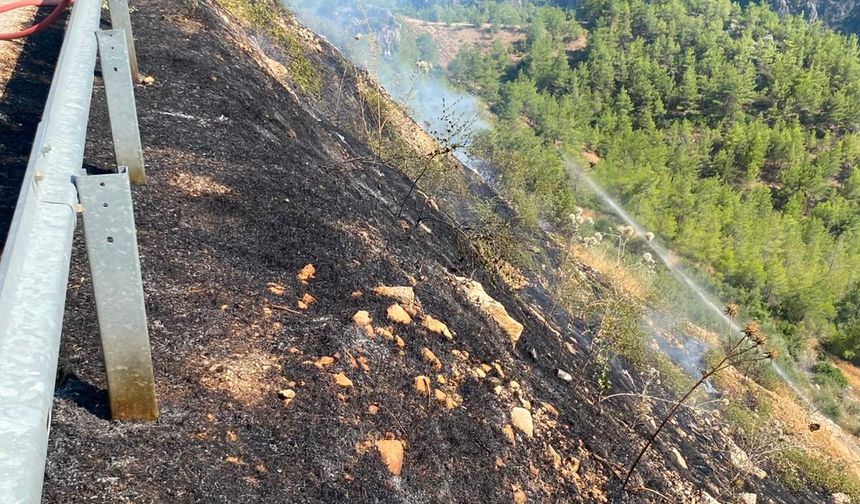 Silifke ilçesinde ormanlık alanda çıkan yangın söndürüldü