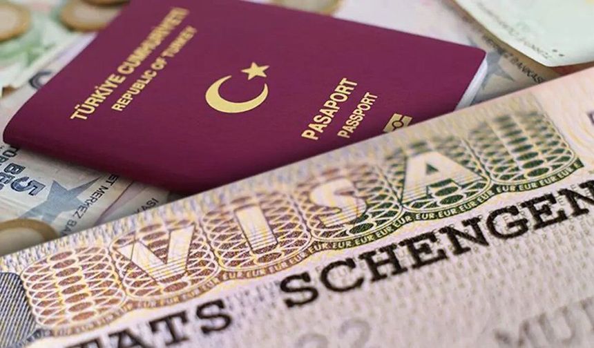 Vize Randevusu Şebekesine 6 İlde Operasyon