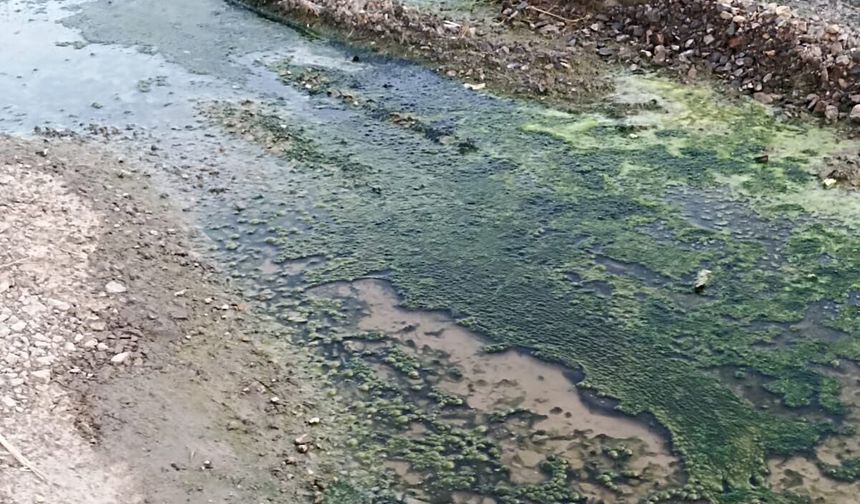 Arsuz’da Mahalleli İsyan Etti: Çocuklarımızın Sağlığı Tehdit Altında!