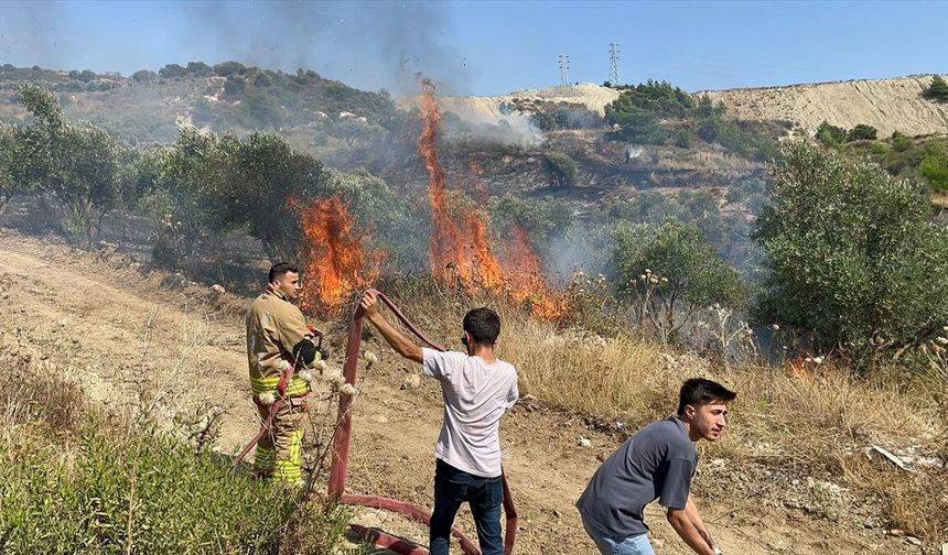 Hatay’da İki İlçede Yangın: Zeytinlik Yandı, Traktör Hasar Gördü