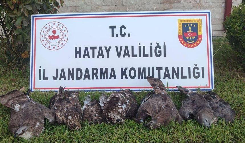 Hatay’da Kovadan Çıkanlar Şoke Etti: Avcıya 1 Milyon 330 Bin TL Ceza!