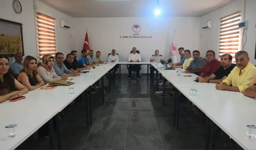 Hatay’ın 2027 Yılı Bitki Sağlığı Planı Hazırlandı!