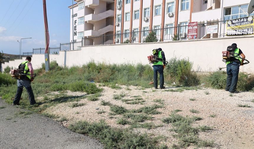 Ders Zili Çalmadan HBB Harekete Geçti: Okul Bahçeleri Yenileniyor