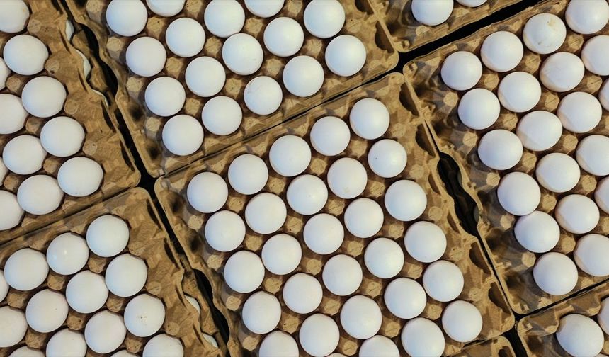 Türkiye'nin yumurta ihracatı 9 ayda 418 milyon doları aştı