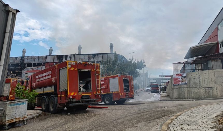 Antakya'da Mobilya Sanayi Sitesinde Korkutan Yangın