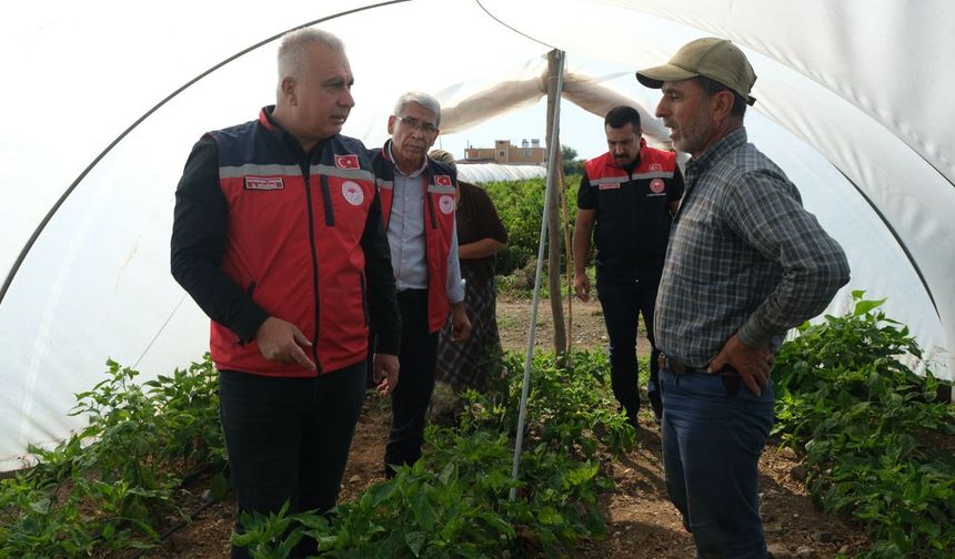 Seracılık Faaliyetleri Yerinde İncelendi