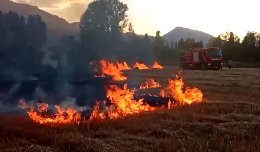 Anız Yangını Ekiplerin Hızlı Müdahalesiyle Söndürüldü